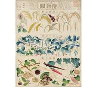 Artery8 Kato Chikusai Species of Flora Fauna Insects Japanese Extra Large XL Wall Art Poster Print