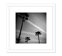Artery8 Kenrick Palm Trees Vapour Trails Silhouette Photo 8X8 Inch Square Wooden Framed Wall Art Print Picture with Mount in White Artery8 White