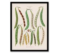Artery8 Kidney or Snap Beans Kitchen Ernst Benary Framed Wall Art Print in White | Size: W12" x H16" Artery8 White W12" x H16"