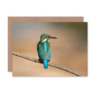 Artery8 Kingfisher Bird on Branch Animal Nature Photograph Card Artery8 Multicolor