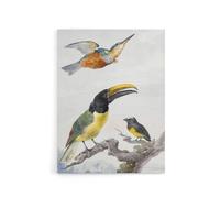 Artery8 Kingfisher Toucan Bird & a Sparrow Schouman Canvas Wall Art Print in White | Size: W24" x H32" Artery8 White W24" x H32"