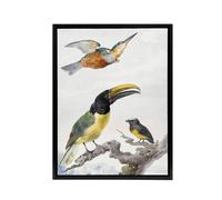 Artery8 Kingfisher Toucan Bird & a Sparrow Schouman Framed Canvas Wall Art in White | Size: W12" x H16" Artery8 White W12" x H16"
