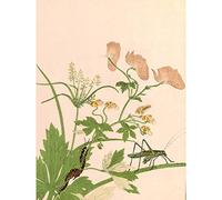 Artery8 Kitagawa Utamaro Katydid Centipede Japanese Painting Premium Wall Art Canvas Print 18X24 Inch