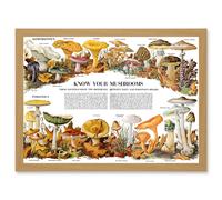 Artery8 Know Your Mushroom Identifier Chart Mycology Mushroom Fungi Toadstool A4 Artwork Framed Wall Art Print in Light Oak Artery8 Light Oak