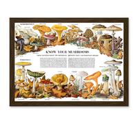 Artery8 Know Your Mushroom Identifier Chart Mycology Mushroom Fungi Toadstool A4 Artwork Framed Wall Art Print in Brown Artery8 Brown