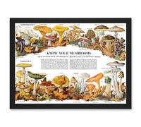 Artery8 Know Your Mushroom Identifier Chart Mycology Mushroom Fungi Toadstool A4 Artwork Framed Wall Art Print in Black Artery8 Black