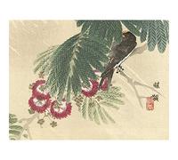 Artery8 Kono Bairei Barn Swallow Japanese Woodblock Large Wall Art Poster Print Thick Paper 18X24 Inch