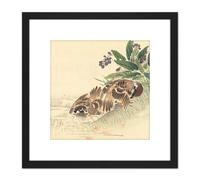 Artery8 Kono Bairei Bathing Tree Sparrow Japan Woodblock 8X8 Inch Square Wooden Framed Wall Art Print Picture with Mount in Black Artery8 Black
