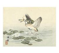 Artery8 Kono Bairei Kingfisher Japanese Woodblock Art Print Canvas Premium Wall Decor Poster Mural