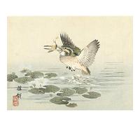Artery8 Kono Bairei Kingfisher Japanese Woodblock Premium Wall Art Canvas Print 18X24 Inch