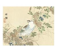 Artery8 Kono Bairei Songbird Between Autumn Grasses Drawing Large Wall Art Poster Print Thick Paper 18X24 Inch