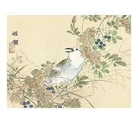 Artery8 Kono Bairei Songbird Between Autumn Grasses Drawing Unframed Wall Art Print Poster Home Decor Premium