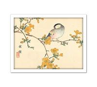 Artery8 Kono Bairei Songbird on Flowering Branch Artwork Framed Wall Art Print 18X24 Inch