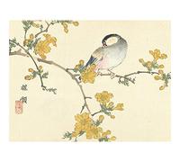 Artery8 Kono Bairei Songbird on Flowering Branch Large Wall Art Poster Print Thick Paper 18X24 Inch