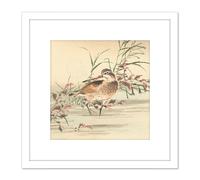 Artery8 Kono Bairei Stream Bird Japan Woodblock 8X8 Inch Square Wooden Framed Wall Art Print Picture with Mount in White Artery8 White