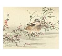 Artery8 Kono Bairei Stream Bird Japanese Woodblock Large XL Wall Art Canvas Print