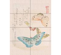 Artery8 Kubo Shunman Moths And Butterflies XL Giant Panel Poster (8 Sections)