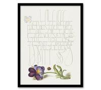 Artery8 Ladybird & Wild Pansy Calligraphy Framed Wall Art Print in White | Size: A4 Artery8 White A4