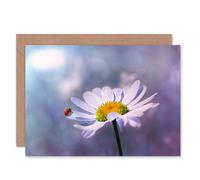 Artery8 Ladybug Ladybird Beetle on Daisy Flower Close Up Photo Card Artery8 Multicolor