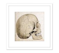 Artery8 Landseer Human Skull Side View Anatomy Diagram 8X8 Inch Square Wooden Framed Wall Art Print Picture with Mount in White Artery8 White