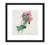 Artery8 Langlois After Pierre Joseph Redoute Poppy 8X8 Inch Square Wooden Framed Wall Art Print Picture with Mount in Black Artery8 Black