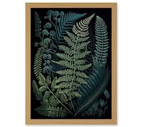 Artery8 Leaf Illustration Fern Fronds Ernst Haeckel Style Artwork Framed A3 Wall Art Print