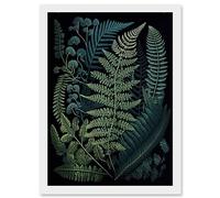 Artery8 Leaf Illustration Fern Fronds Ernst Haeckel Style Artwork Framed Wall Art Print A4