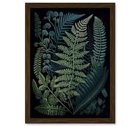 Artery8 Leaf Illustration Fern Fronds Ernst Haeckel Style Artwork Framed Wall Art Print A4