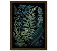 Artery8 Leaf Illustration Fern Fronds Ernst Haeckel Style Artwork Framed Wall Art Print A4 in Brown Artery8 Brown