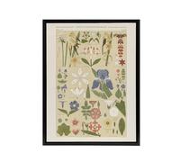 Artery8 Leaves and Flowers From Nature No 8 Black Framed Canvas Wall Art Print 12X16 Artwork By Owen Jones : Delicate Plant Study Print Enriching Botanical Charm And Grace In Hallway Or Study