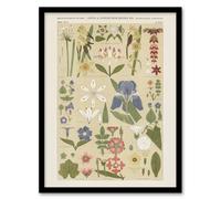 Artery8 Leaves and Flowers From Nature No 8 Wall Art Print Framed Poster 12x16 inch Artwork By Owen Jones : Delicate Plant Study Print Enriching Botanical Charm And Grace In Hallway Or Study