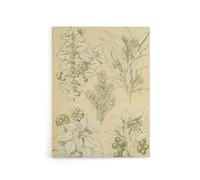 Artery8 Leaves From Nature No 7 Botanical Canvas Wall Art Print 12X16 Artwork By Owen Jones : Ornamental Leaf Study Adding Heritage Tone And Harmony To Contemporary Living Décor