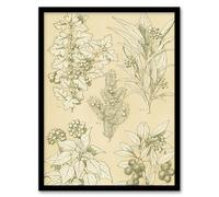 Artery8 Leaves From Nature No 7 Botanical Framed Wall Art Print A4 Artwork By Owen Jones : Ornamental Leaf Study Adding Heritage Tone And Harmony To Contemporary Living Décor