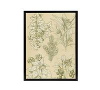 Artery8 Leaves From Nature No 7 Botanical Jones Vintage Framed Canvas Wall Art in Beige | Size: W12" x H16" Artery8 Beige W12" x H16"