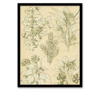 Artery8 Leaves From Nature No 7 Botanical Jones Vintage Framed Wall Art Print 12X16"