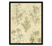 Artery8 Leaves From Nature No 7 Botanical Jones Vintage Framed Wall Art Print in Beige | Size: A4 Artery8 Beige A4