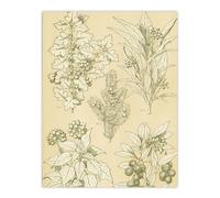 Artery8 Leaves From Nature No 7 Botanical Large Wall Art Poster Print 18X24 Inch Artwork By Owen Jones : Ornamental Leaf Study Adding Heritage Tone And Harmony To Contemporary Living Décor