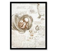 Artery8 Leonardo da Vinci Framed Wall Art Studies of the Foetus in the Womb in Beige | Size: A3 Artery8 Beige A3