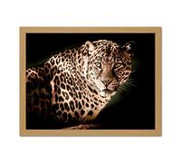 Artery8 Leopard Big Cat Spots Photo Artwork Framed Wall Art Print 18X24 Inch