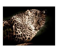 Artery8 Leopard Big Cat Spots Photo Extra Large XL Wall Art Poster Print