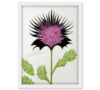 Artery8 Linocut Scottish Thistle Abstract Wildflower Artwork Framed Wall Art Print A4 in White Artery8 White