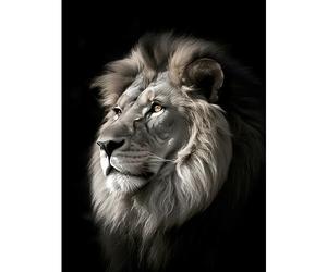 Artery8 Lion Head Portrait Dramatic Photograph Strong Leo Dark Atmospheric Light Large XL Wall Art Canvas Print