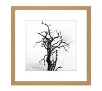 Artery8 Lone Dead Tree Silhouette Black White 8X8 Inch Square Wooden Framed Wall Art Print Picture with Mount in Light Oak Artery8 Light Oak