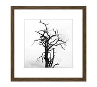 Artery8 Lone Dead Tree Silhouette Black White 8X8 Inch Square Wooden Framed Wall Art Print Picture with Mount in Brown Artery8 Brown