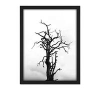 Artery8 Lone Dead Tree Silhouette Black White Artwork Framed Wall Art Print 18X24 Inch