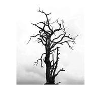 Artery8 Lone Dead Tree Silhouette Black White Unframed Wall Art Print Poster Home Decor Premium
