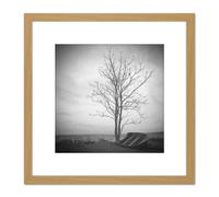 Artery8 Lone Tree Silhouette Greyscale Photo 8X8 Inch Square Wooden Framed Wall Art Print Picture with Mount in Light Oak Artery8 Light Oak