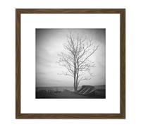 Artery8 Lone Tree Silhouette Greyscale Photo 8X8 Inch Square Wooden Framed Wall Art Print Picture with Mount in Brown Artery8 Brown