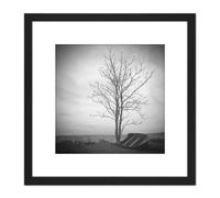 Artery8 Lone Tree Silhouette Greyscale Photo 8X8 Inch Square Wooden Framed Wall Art Print Picture with Mount in Black Artery8 Black