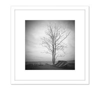 Artery8 Lone Tree Silhouette Greyscale Photo 8X8 Inch Square Wooden Framed Wall Art Print Picture with Mount in White Artery8 White
